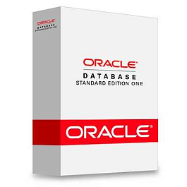Oracle Standard Edition One