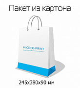 Картинка Пакеты для подарков 245x380x90 мм от компании Micros