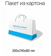 Картинка Подарочные пакеты для сувенирных изделий 300x240x80 мм от компании Micros