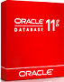 Oracle Database Enterprise Edition 11g
