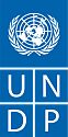 Программа развития ООН в Республике Узбекистан